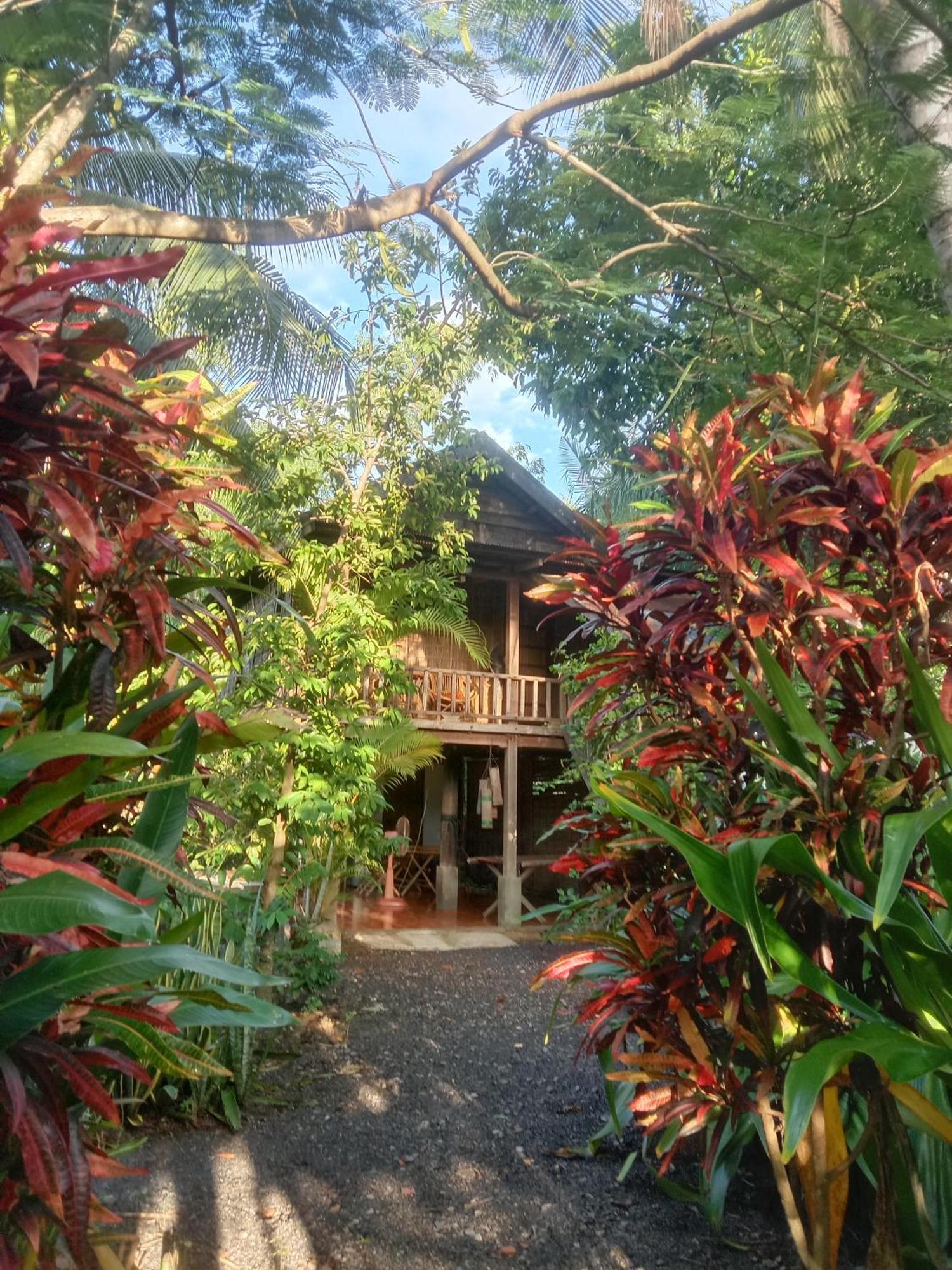 O'Hamok Family Homestay Battambang Bagian luar foto
